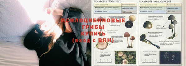 кокаин колумбия Каменск-Шахтинский